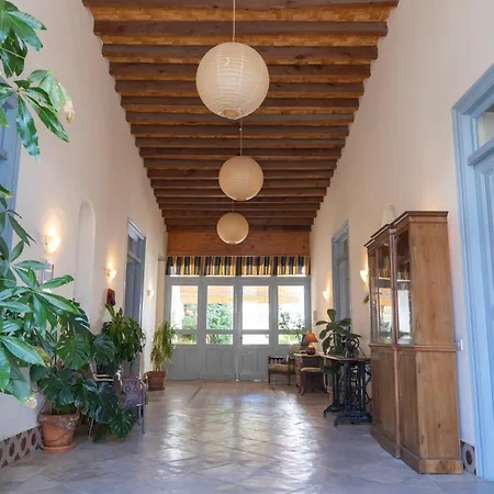 Ananke * Nicosia