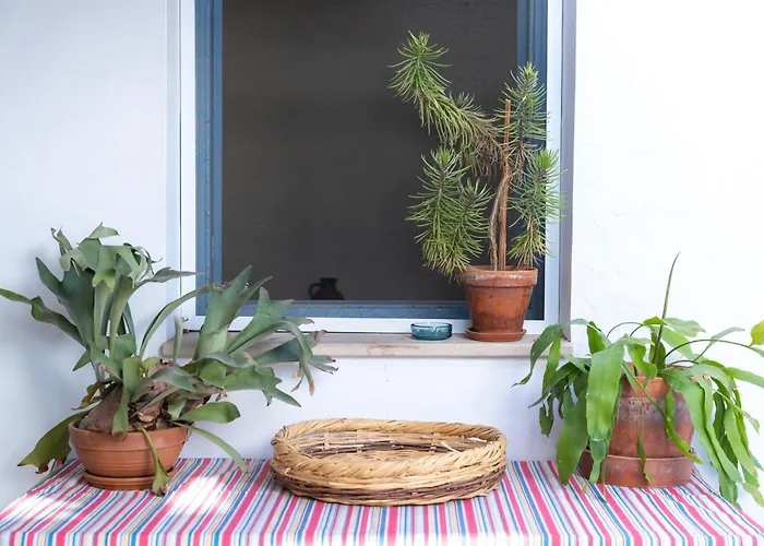 Bed and Breakfast Ananke